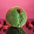 (image for) SELOPA - Beaded Nipple Clamps -Rose Gold