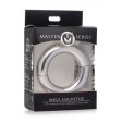 (image for) Mega Magnetize Stainless Magnetic Ring