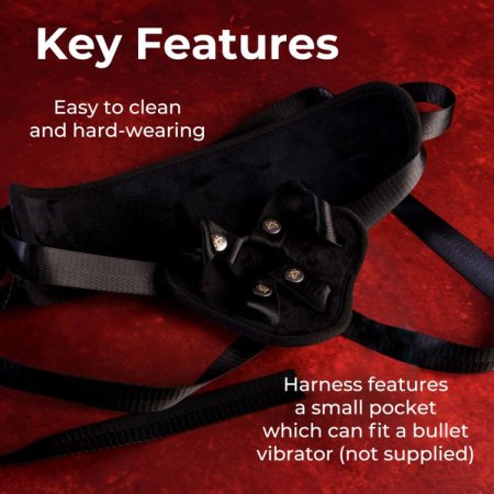 (image for) SEI MIO Pegging Back - Beginners Harness