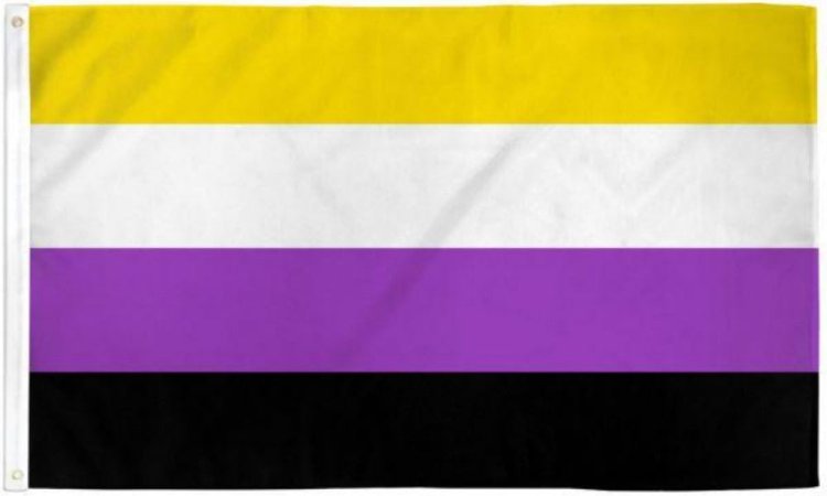(image for) Non-Binary Flag 3\' X5\' Polyester