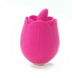 (image for) TESTER - Skins Rose Buddies - The Rose Flix