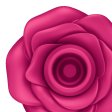 (image for) Pro 2 Classic Blossom