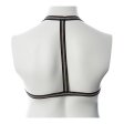 (image for) Gender Fluid Silver Lining Harness S-L *