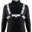 (image for) Cosmo Harness - Dare - L/X