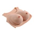 (image for) Gender-X Undergarment Plate E cup Light
