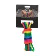 (image for) Rainbow Shibari Rope - 16ft