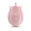 (image for) Play With Me - Romantic Rose - Pink