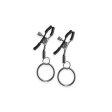(image for) Bound Nipple Clamps - C2 - Gunmetal