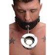 (image for) Ashtray Ball Gag *bulk pkg*