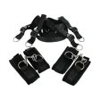 (image for) Frisky Bedroom Restraint Kit