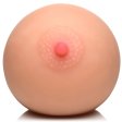 (image for) Pussy / Breast Masturbator 2-in-1 *