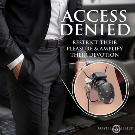 (image for) Lock Down Chastity Cage