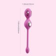 (image for) Elektra App-Enabled E-Stim Kegel Trainer