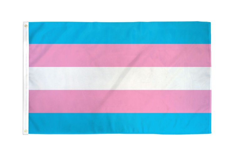 (image for) Transgender Flag 2\' x 3\' Polyester