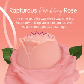Skins Rose Buddies - The Rose Purrz Skins Rose Buddies - The Rose Purrz