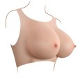 (image for) Gender-X Undergarment Plate E cup Light