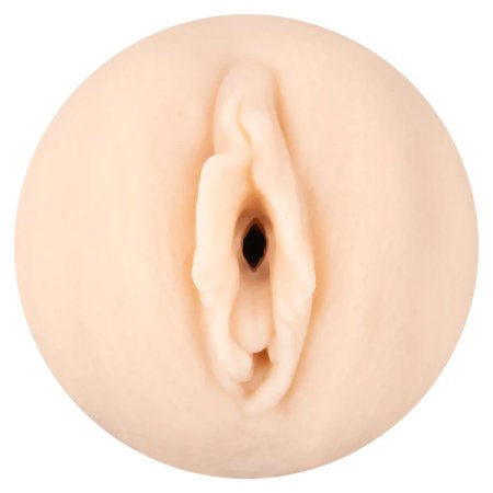 (image for) EMILY WILLIS PUSSY STROKER HARD CASE