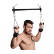 (image for) Levitate Suspension Bar