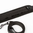(image for) SEI MIO Take the Lead Padded Collar/Leas