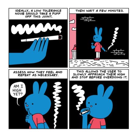 (image for) Are You Too High? Storybook *