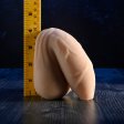 (image for) Gender-X Uncircumcised Packer - Light