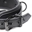 (image for) Collared Temptress Collar/Nipple Clamps