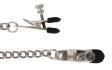 (image for) Spartacus Broad tip clamp