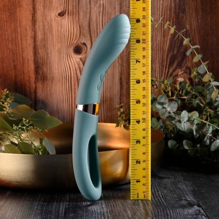 (image for) Evolved Chick Flick - flicking vibrator