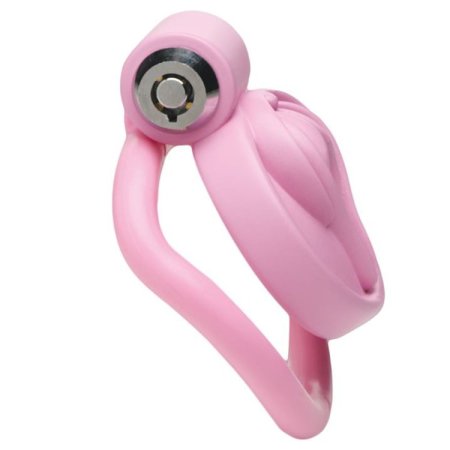 (image for) Pussification Chastity Cock Cage