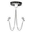 (image for) Amor Collar with Nipple Jewelry