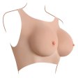 (image for) Gender-X Undergarments Plate C-cup Light