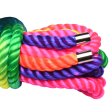 (image for) Rainbow Shibari Rope - 32ft