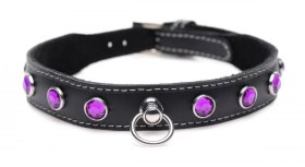 Royal Vixen Leather Choker Rhinestones