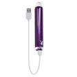 (image for) Playboy Amethyst Glass Vibe