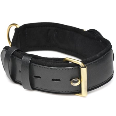 (image for) Tracer Tracking Collar (for airtags)