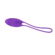 (image for) Playboy Put in Work Kegel Set