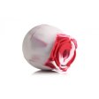 (image for) The Rose Lover's Gift Box - Swirl