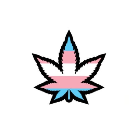(image for) Enamel Pin: Trans Weed Leaf
