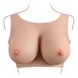 (image for) Gender-X Undergarment Plate E cup Light