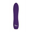 (image for) TESTER - Vivacious - Intense 10-Function - Violet