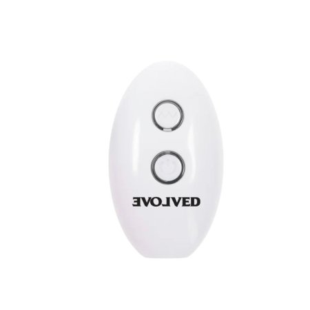 (image for) TESTER - Evolved Paradise Plug w R/C