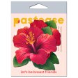 (image for) Tropical Vibrant Red Hawaiian Hibiscus Botanical Flower Breast Pasties