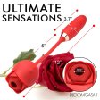 (image for) Romping Rose 10X Suction Rose & Thrustin
