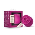 (image for) Blush Collection The Original Blush Rose