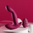 (image for) Evolved Come on Over w remote
