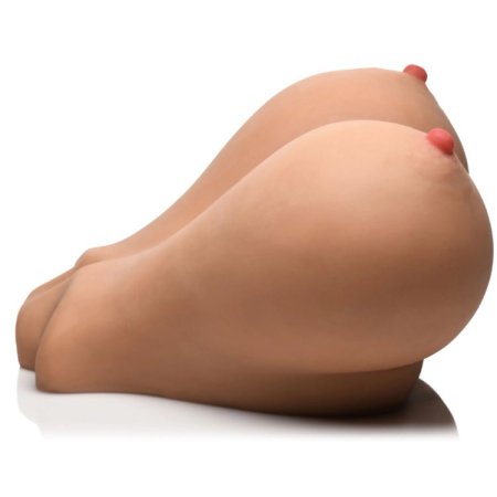 (image for) Breasts And Pussy Masturbator - 5.4lbs