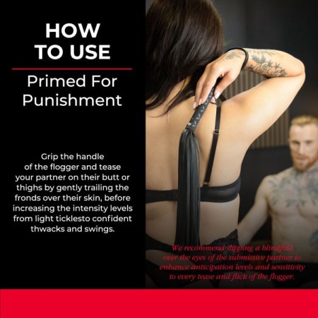 (image for) SEI MIO Primed for Punishment Faux Flogg