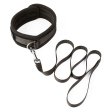 (image for) SEI MIO Take the Lead Padded Collar/Leas