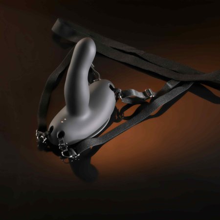 (image for) TESTER - Evolved Come Closer - harness with RC vibrating