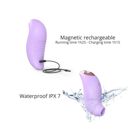 (image for) BELIEVER - VIVA MAUVE
